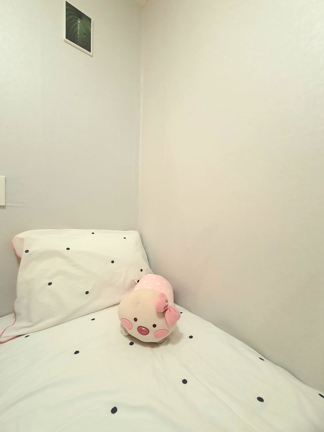 신대방 여성전용 고시원 버드나무하우스 흰 침구와 쿠션이 놓인 내창방 침대